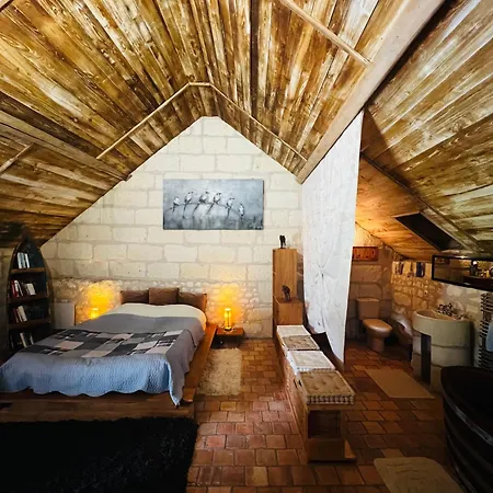 Chateau De La Thibaudiere - Des Oiseaux Allonnes (Maine-et-Loire)