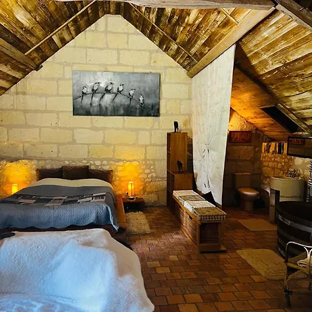 فندق مبيت وإفطار Chateau De La Thibaudiere - Des Oiseaux Allonnes (Maine-et-Loire)