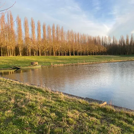 فندق مبيت وإفطار Chateau De La Thibaudiere - Des Oiseaux 3*