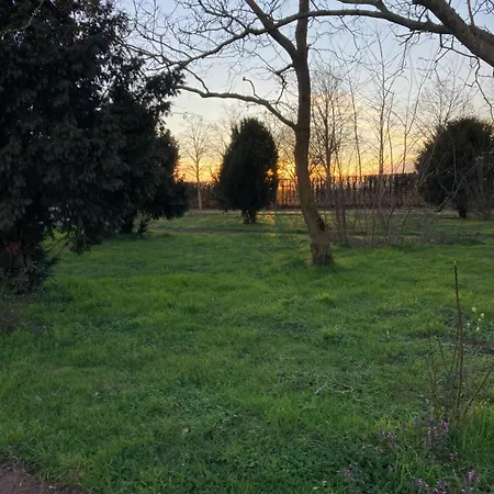 Chateau De La Thibaudiere - Des Oiseaux