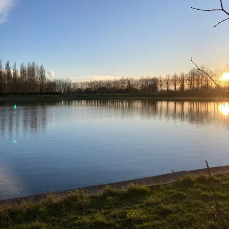 Bed and breakfast Chateau De La Thibaudiere - Des Oiseaux Allonnes (Maine-et-Loire)